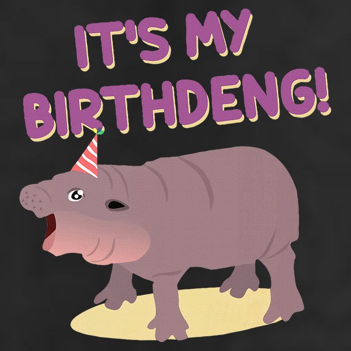 Funny Moo Deng Baby Hippo Cute ItS My Birthday Birthdeng Adult Drive Performance Visor