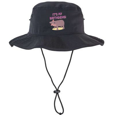 Funny Moo Deng Baby Hippo Cute ItS My Birthday Birthdeng Bucket Hat