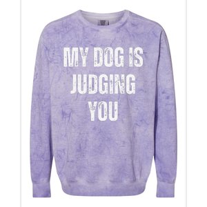 Funny My Dog Is Judging You Funny Dog Lover Colorblast Crewneck Sweatshirt