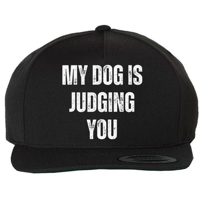 Funny My Dog Is Judging You Funny Dog Lover Wool Snapback Cap