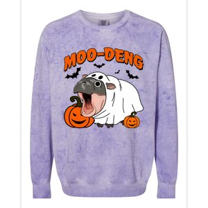 Funny Moo Deng Halloween Boo Ghost Costume Moodeng Lover Colorblast Crewneck Sweatshirt