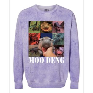 Funny Moo Deng Baby Pygmy Hippo Cute Zoo For Family Colorblast Crewneck Sweatshirt