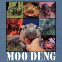 Funny Moo Deng Baby Pygmy Hippo Cute Zoo For Family Garment-Dyed Sweatshirt