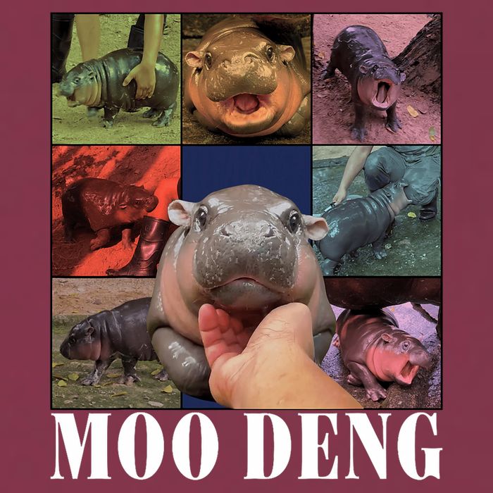 Funny Moo Deng Baby Pygmy Hippo Cute Zoo For Family 16oz Travel Tumbler
