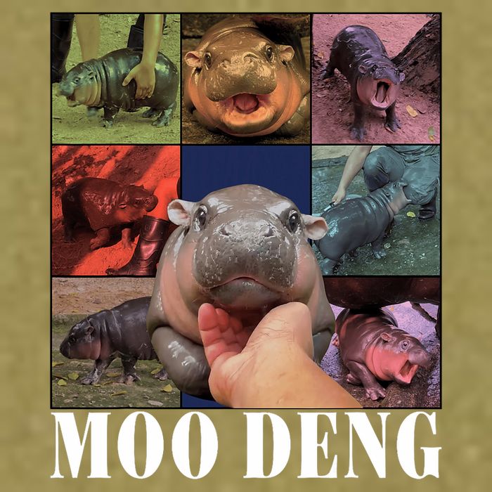 Funny Moo Deng Baby Pygmy Hippo Cute Zoo For Family Garment-Dyed Women's Muscle Tee