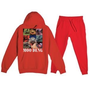 Funny Moo Deng Baby Pygmy Hippo Cute Zoo For Family Premium Hooded Sweatsuit Set