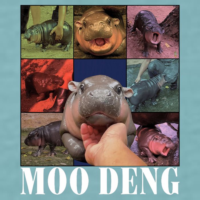 Funny Moo Deng Baby Pygmy Hippo Cute Zoo For Family Sueded Cloud Jersey T-Shirt