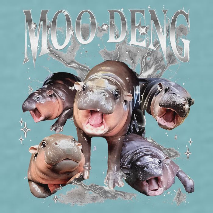 Funny Moo Deng Baby Pygmy Hippo Cute Zoo For Family Sueded Cloud Jersey T-Shirt