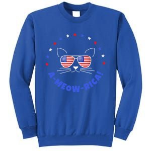 Funny Memorial Day July 4th Cat Ameowrica Day Gift Tall Sweatshirt