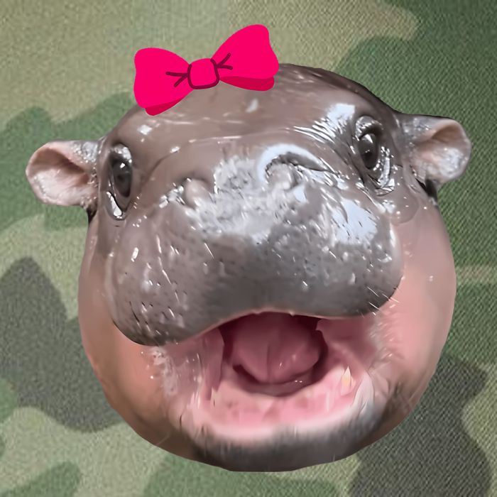 Funny Moo Deng Hippo Cute Baby Pygmy Coquette Legacy Tie Dye Trucker Hat