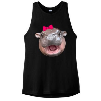 Funny Moo Deng Hippo Cute Baby Pygmy Coquette Ladies PosiCharge Tri-Blend Wicking Tank