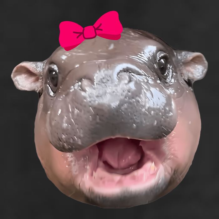 Funny Moo Deng Hippo Cute Baby Pygmy Coquette 7 Panel Mesh Trucker Snapback Hat