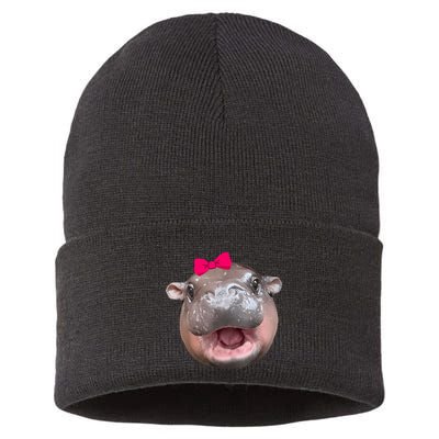 Funny Moo Deng Hippo Cute Baby Pygmy Coquette Sustainable Knit Beanie
