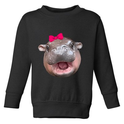Funny Moo Deng Hippo Cute Baby Pygmy Coquette Toddler Sweatshirt