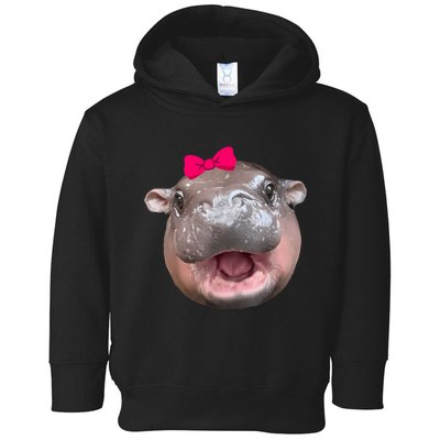 Funny Moo Deng Hippo Cute Baby Pygmy Coquette Toddler Hoodie