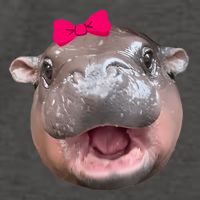 Funny Moo Deng Hippo Cute Baby Pygmy Coquette Vector Backpack