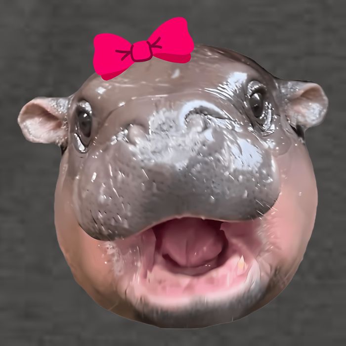 Funny Moo Deng Hippo Cute Baby Pygmy Coquette Vector Backpack