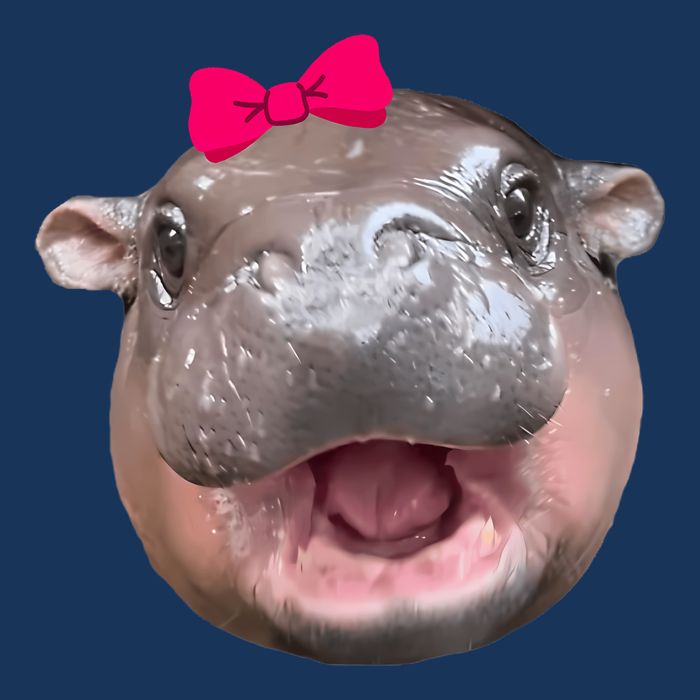 Funny Moo Deng Hippo Cute Baby Pygmy Coquette Infant Baby Jersey Bodysuit