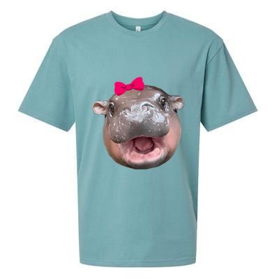 Funny Moo Deng Hippo Cute Baby Pygmy Coquette Sueded Cloud Jersey T-Shirt