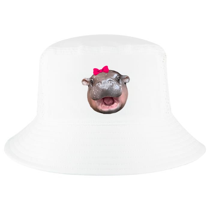 Funny Moo Deng Hippo Cute Baby Pygmy Coquette Cool Comfort Performance Bucket Hat