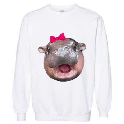 Funny Moo Deng Hippo Cute Baby Pygmy Coquette Garment-Dyed Sweatshirt