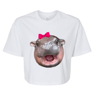 Funny Moo Deng Hippo Cute Baby Pygmy Coquette Bella+Canvas Jersey Crop Tee