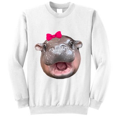Funny Moo Deng Hippo Cute Baby Pygmy Coquette Sweatshirt