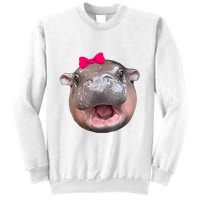Funny Moo Deng Hippo Cute Baby Pygmy Coquette Sweatshirt