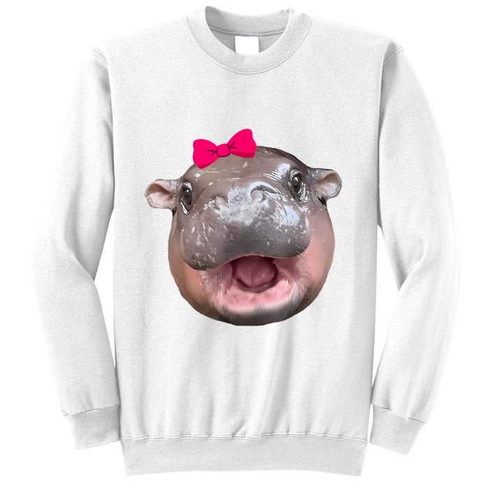 Funny Moo Deng Hippo Cute Baby Pygmy Coquette Sweatshirt