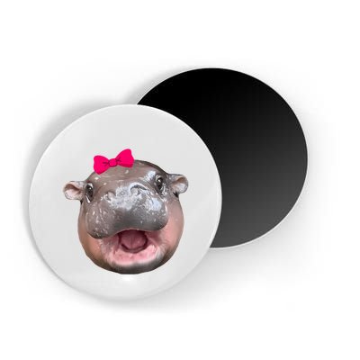 Funny Moo Deng Hippo Cute Baby Pygmy Coquette Magnet