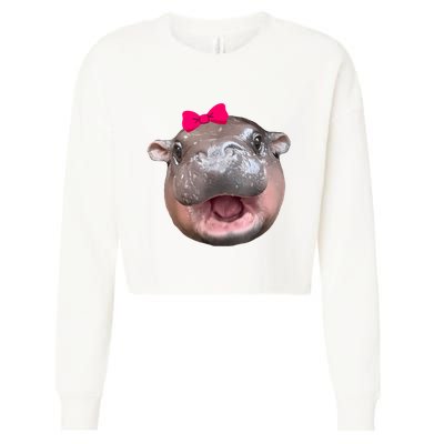 Funny Moo Deng Hippo Cute Baby Pygmy Coquette Cropped Pullover Crew