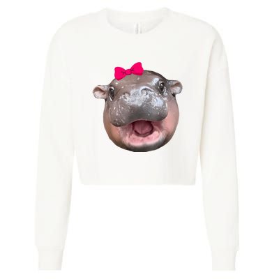 Funny Moo Deng Hippo Cute Baby Pygmy Coquette Cropped Pullover Crew