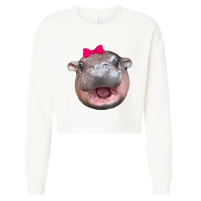 Funny Moo Deng Hippo Cute Baby Pygmy Coquette Cropped Pullover Crew