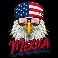 Funny Merica Eagle USA American Flag 16 in Basic Backpack