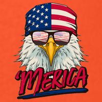 Funny Merica Eagle USA American Flag Button