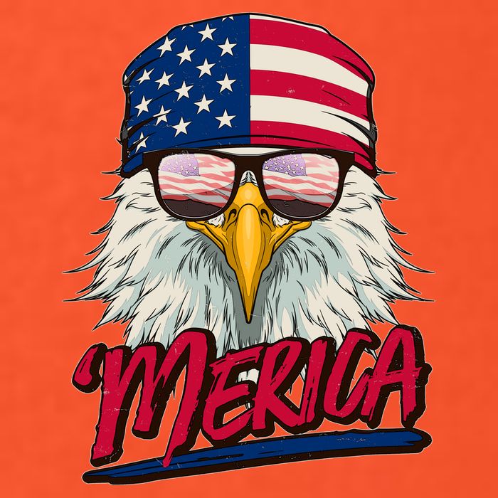 Funny Merica Eagle USA American Flag Button