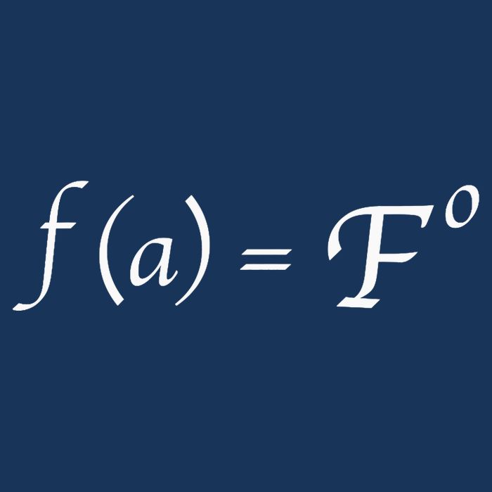 FAFO Math Equation Visor