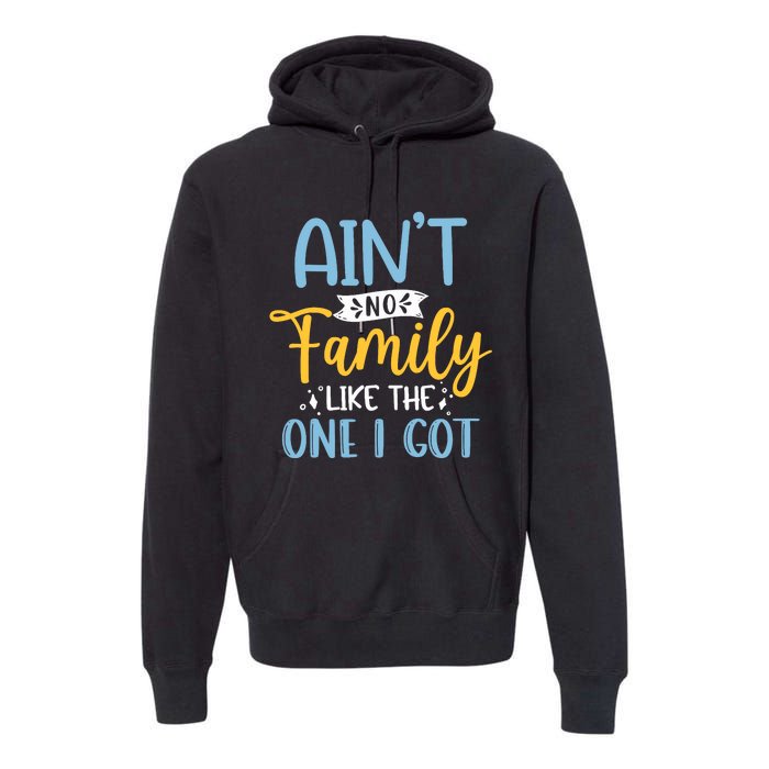 Funny Matching Family Aint No Family Like the One I Got Premium Hoodie