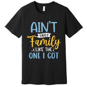 Funny Matching Family Aint No Family Like the One I Got Premium T-Shirt