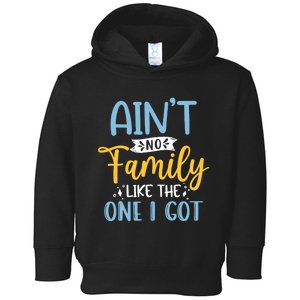 Funny Matching Family Aint No Family Like the One I Got Toddler Hoodie