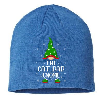 Funny Matching Family The Cat Dad Gnome Christmas Gift Sustainable Beanie