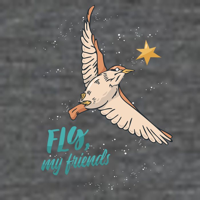 Fly My Friends Bird Star T-Shirt