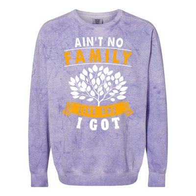 Funny Matching Family Gift Aint No Family Like The One I Got Colorblast Crewneck Sweatshirt