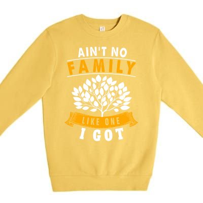 Funny Matching Family Gift Aint No Family Like The One I Got Premium Crewneck Sweatshirt