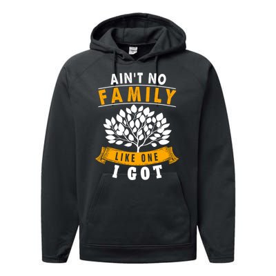 Funny Matching Family Gift Aint No Family Like The One I Got Performance Fleece Hoodie