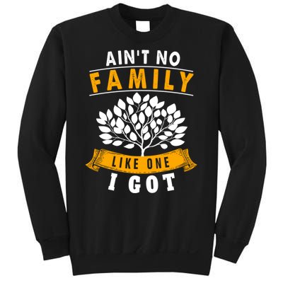 Funny Matching Family Gift Aint No Family Like The One I Got Sweatshirt