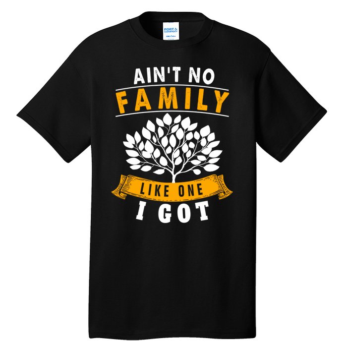 Funny Matching Family Gift Aint No Family Like The One I Got Tall T-Shirt