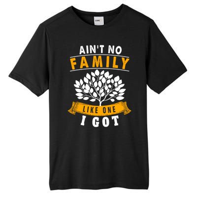 Funny Matching Family Gift Aint No Family Like The One I Got Tall Fusion ChromaSoft Performance T-Shirt