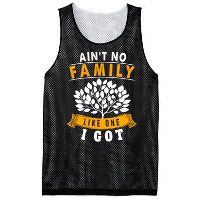 Funny Matching Family Gift Aint No Family Like The One I Got Mesh Reversible Basketball Jersey Tank