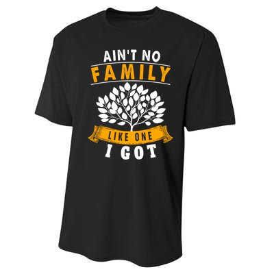 Funny Matching Family Gift Aint No Family Like The One I Got Performance Sprint T-Shirt